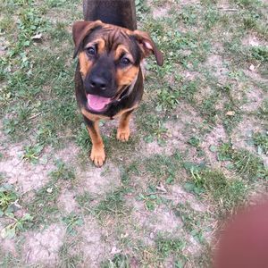 Meet your Posher, Betty